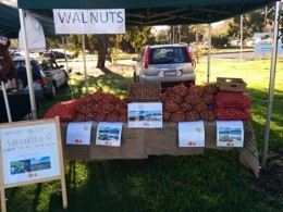 Harcourt Valley Walnuts